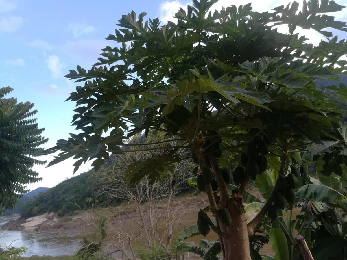 Apartmán Mekong Backpackers Muang Pakbèng Exteriér fotografie